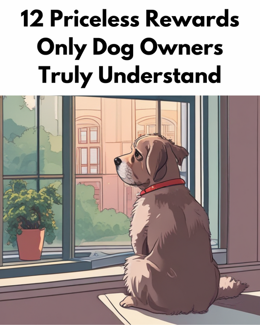 12 Priceless Rewards Only Dog Owners Truly Understand