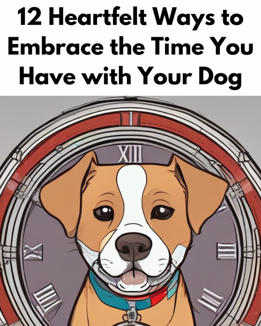 12 Heartfelt Ways to Embrace the Time You Have with Your Dog