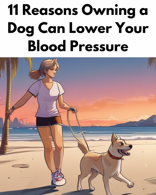 11 Reasons Owning a Dog Can Lower Your Blood Pressure
