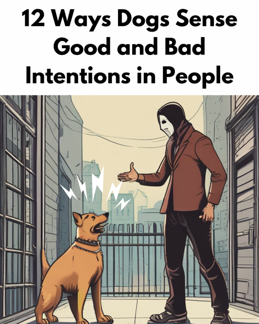 12 Ways Dogs Sense Good and Bad Intentions in People