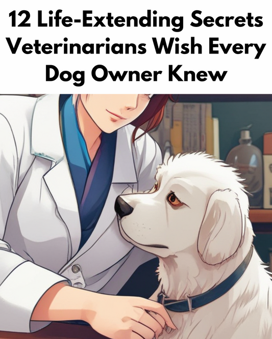 12 Life-Extending Secrets Veterinarians Wish Every Dog Owner Knew
