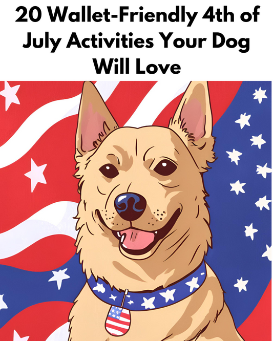 20 Wallet-Friendly 4th of July Activities Your Dog Will Love