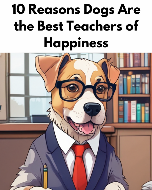 10 Reasons Dogs Are the Best Teachers of Happiness