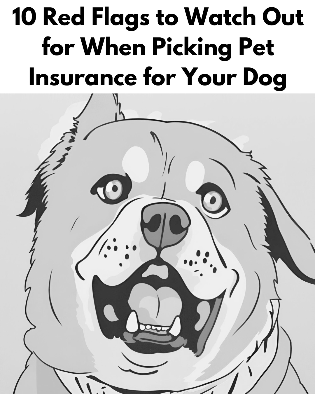 10 Red Flags to Watch Out for When Picking Pet Insurance for Your Dog