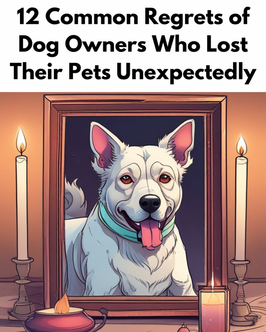 12 Common Regrets of Dog Owners Who Lost Their Pets Unexpectedly