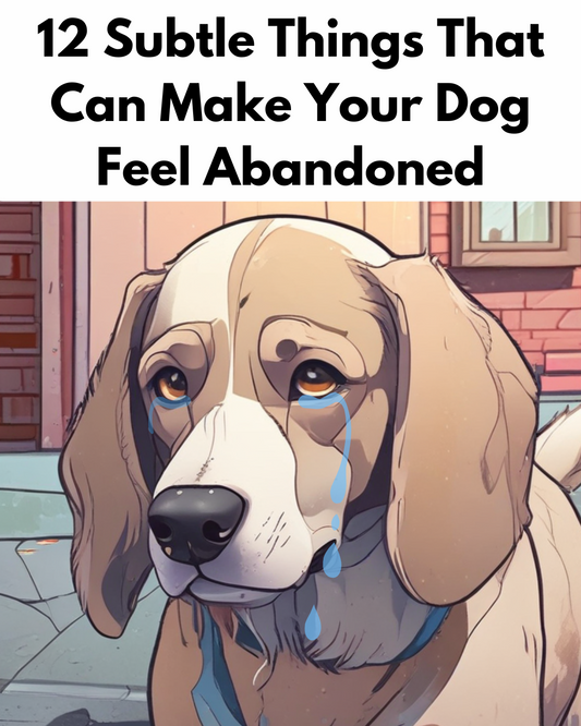 12 Subtle Things That Can Make Your Dog Feel Abandoned