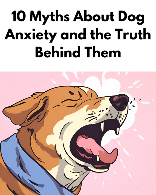 10 Myths About Dog Anxiety and the Truth Behind Them