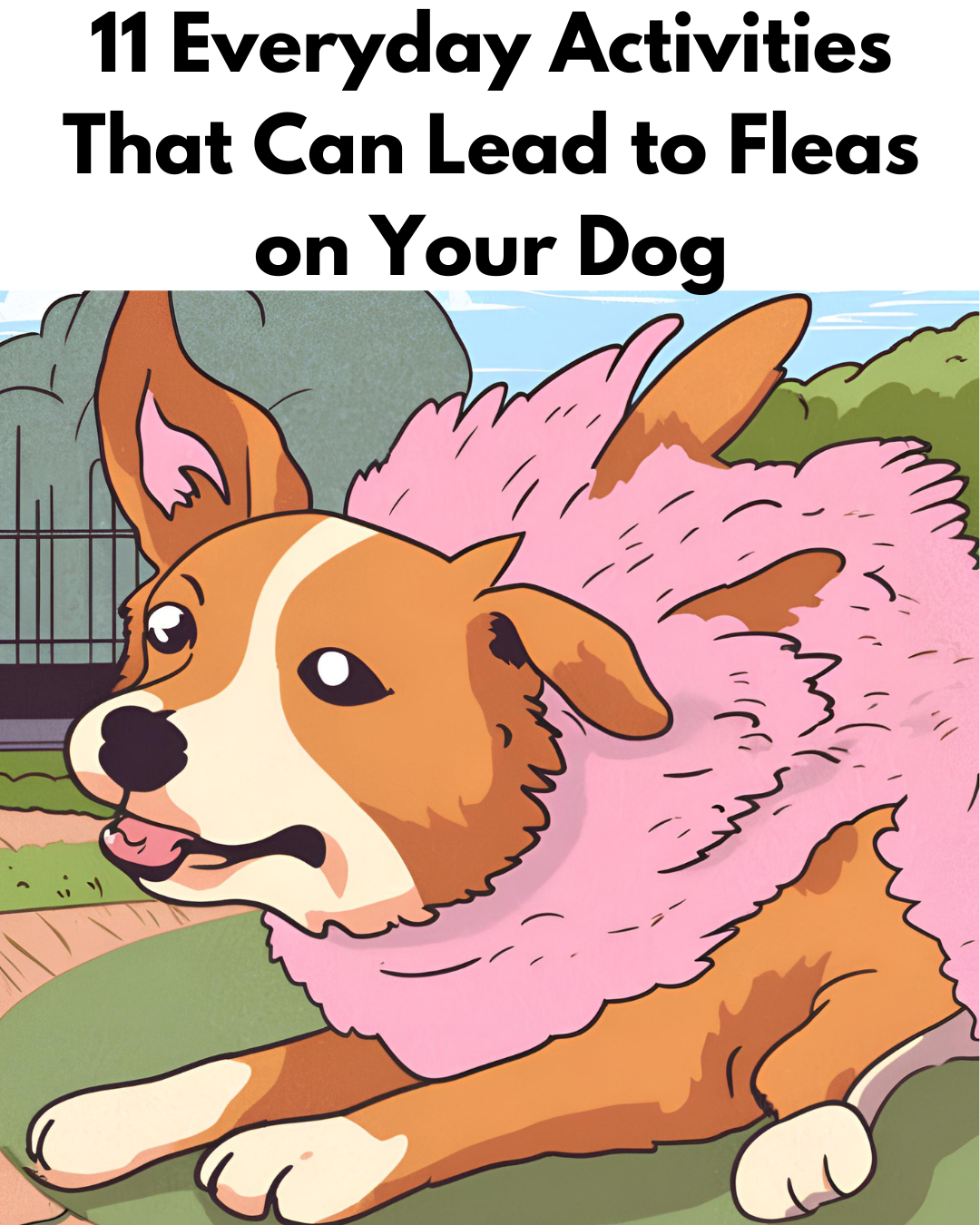 11 Everyday Activities That Can Lead to Fleas on Your Dog