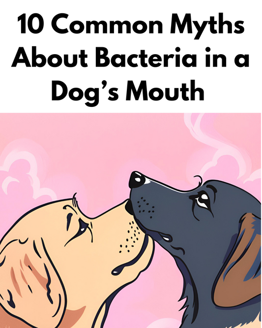 10 Common Myths About Bacteria in a Dog’s Mouth