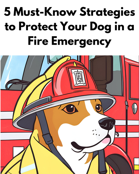 5 Must-Know Strategies to Protect Your Dog in a Fire Emergency