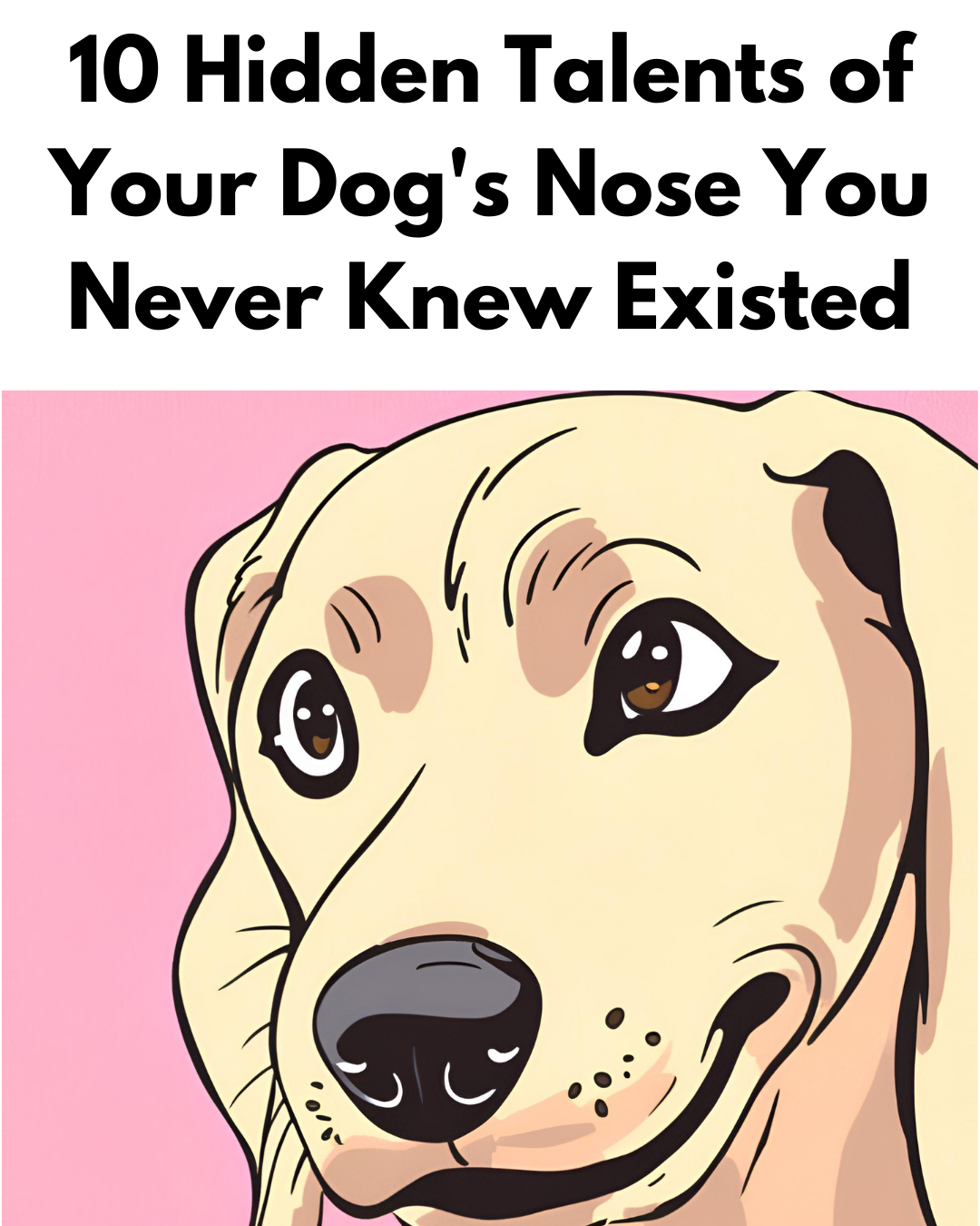 10 Hidden Talents of Your Dog's Nose You Never Knew Existed