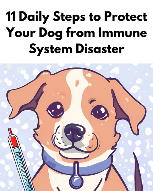 11 Daily Steps to Protect Your Dog from Immune System Disaster