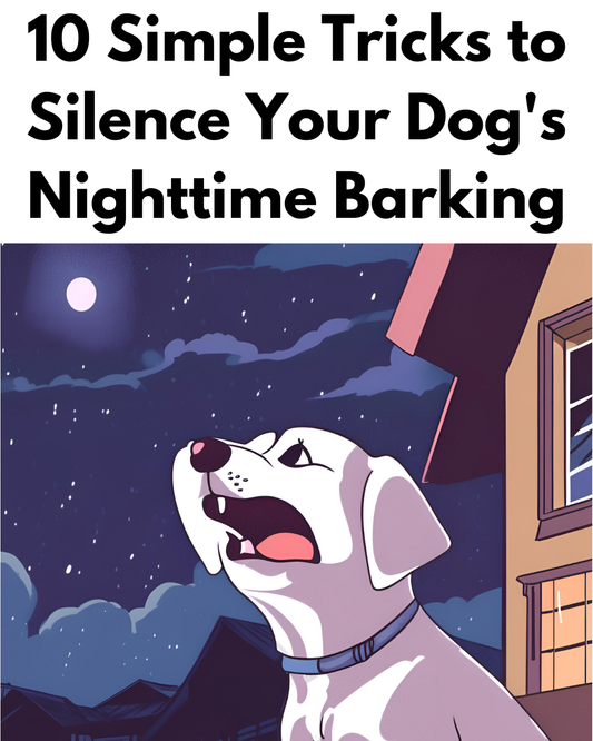 10 Simple Tricks to Silence Your Dog's Nighttime Barking