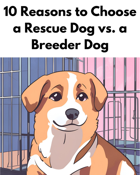 10 Reasons to Choose a Rescue Dog vs. a Breeder Dog