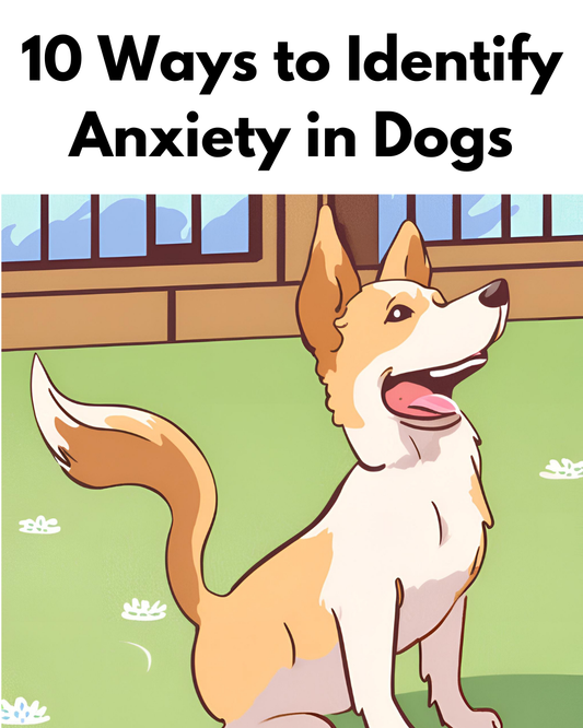 10 Ways to Identify Anxiety in Dogs