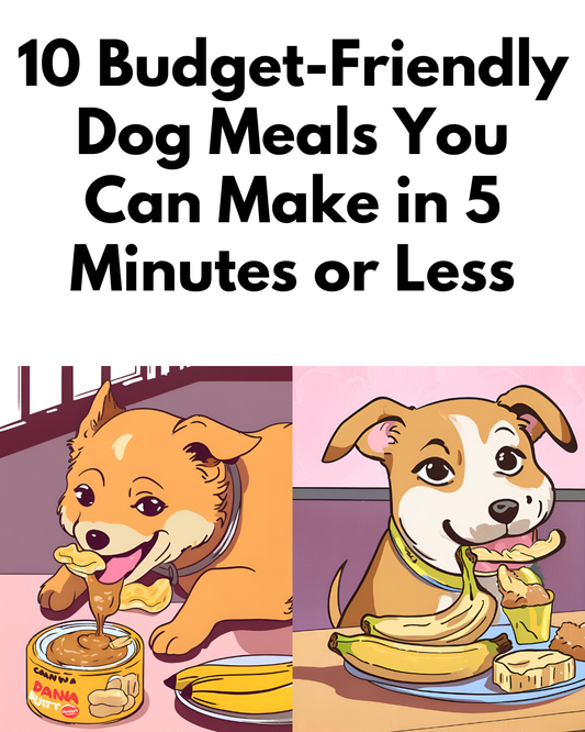 10 Budget-Friendly Dog Meals You Can Make in 5 Minutes or Less