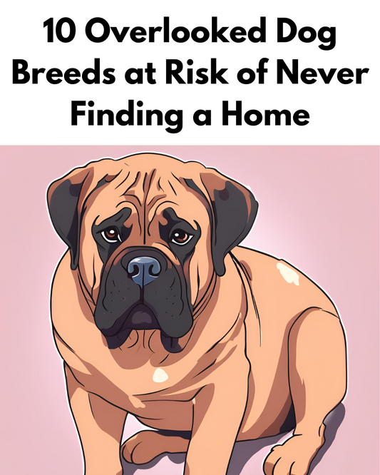 10 Overlooked Dog Breeds at Risk of Never Finding a Home