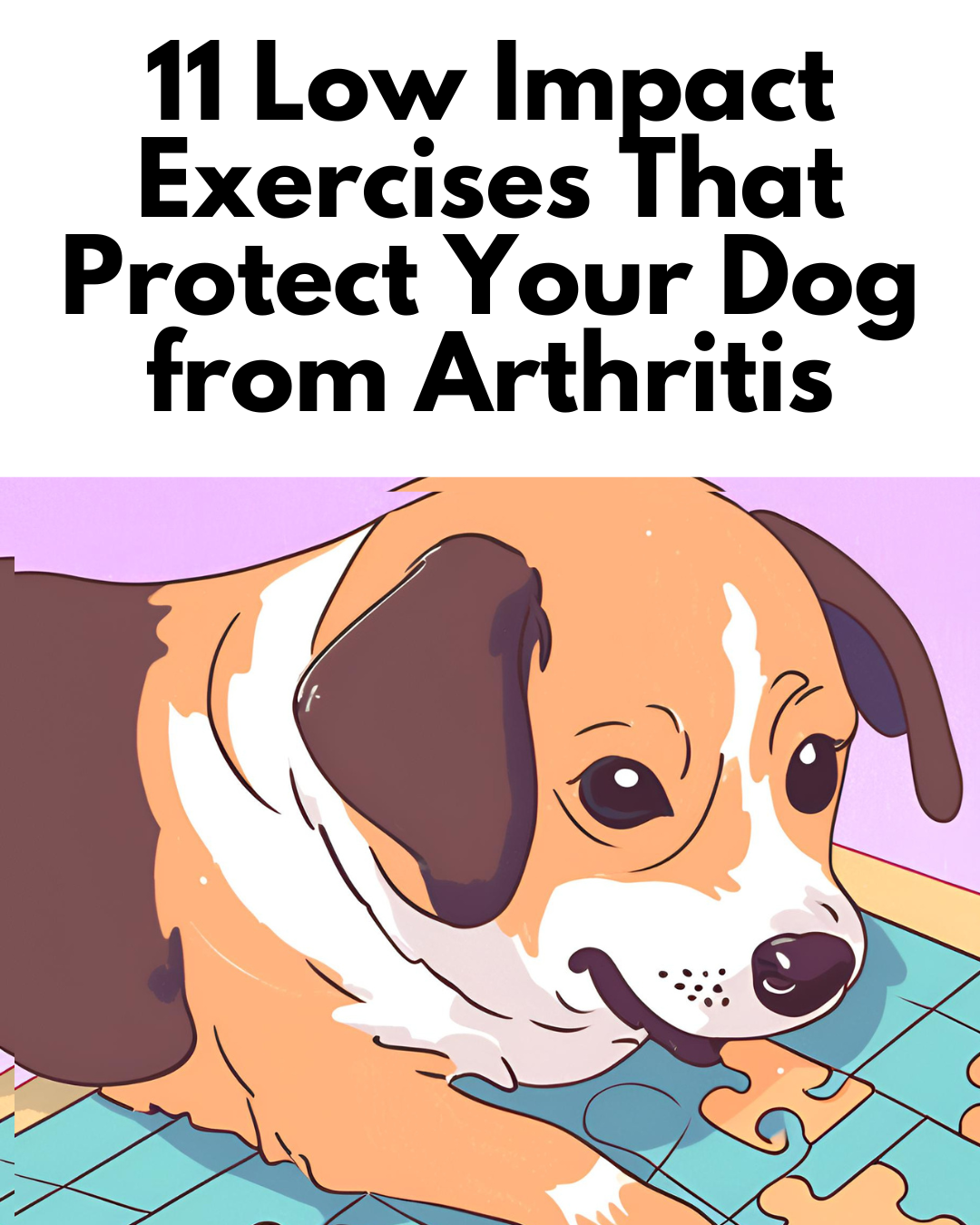 11 Low Impact Exercises That Protect Your Dog from Arthritis