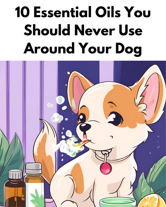 10 Essential Oils You Should Never Use Around Your Dog