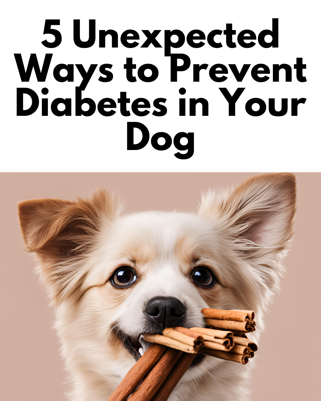 5 Unexpected Ways to Prevent Diabetes in Your Dog