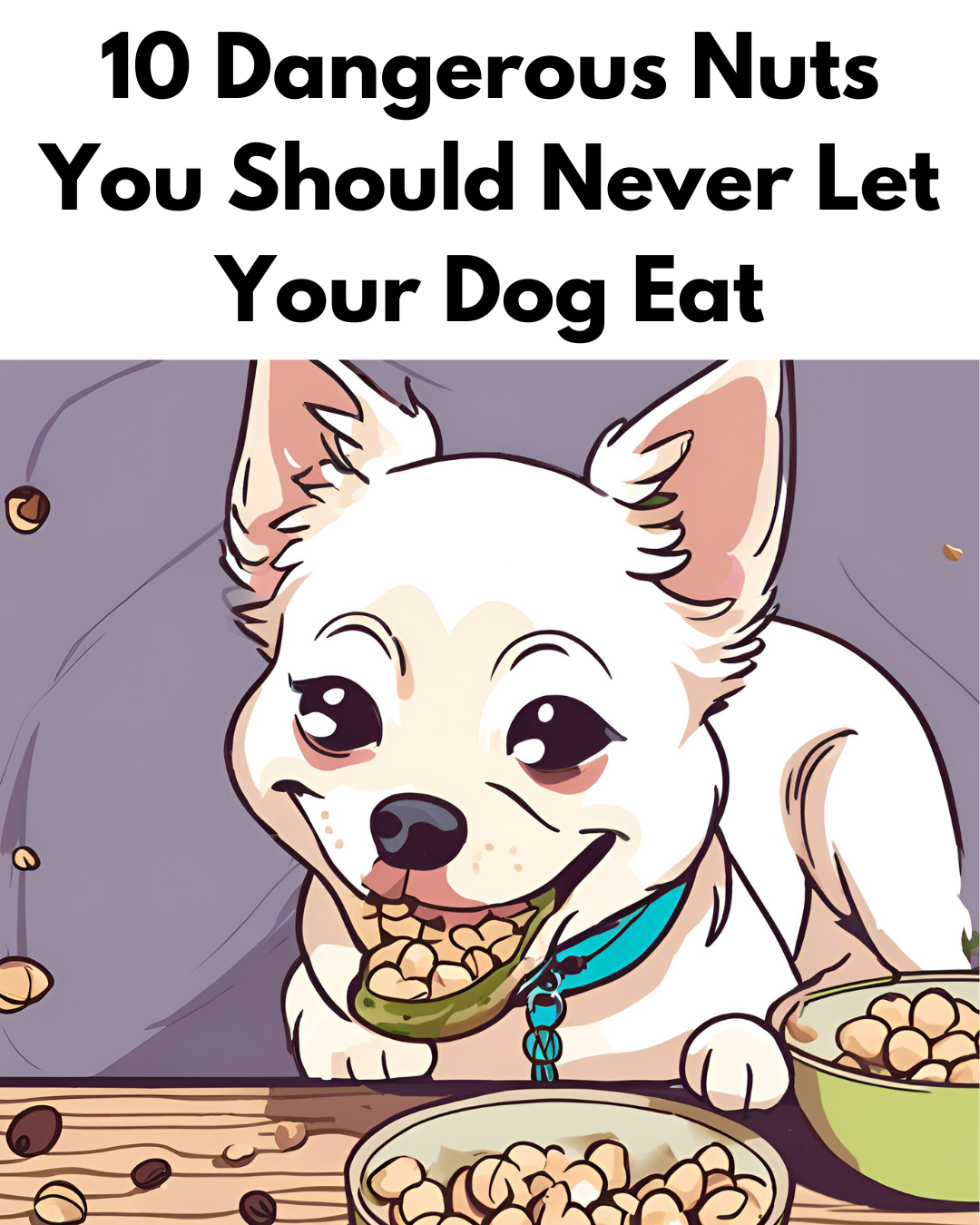 10 Dangerous Nuts You Should Never Let Your Dog Eat