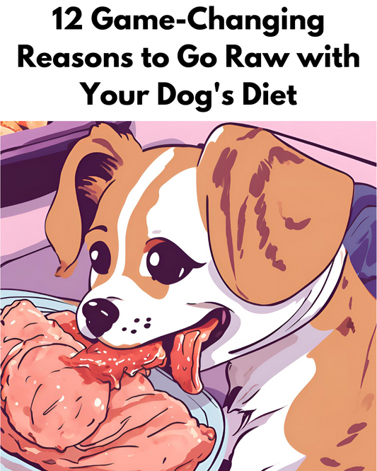 12 Game-Changing Reasons to Go Raw with Your Dog's Diet