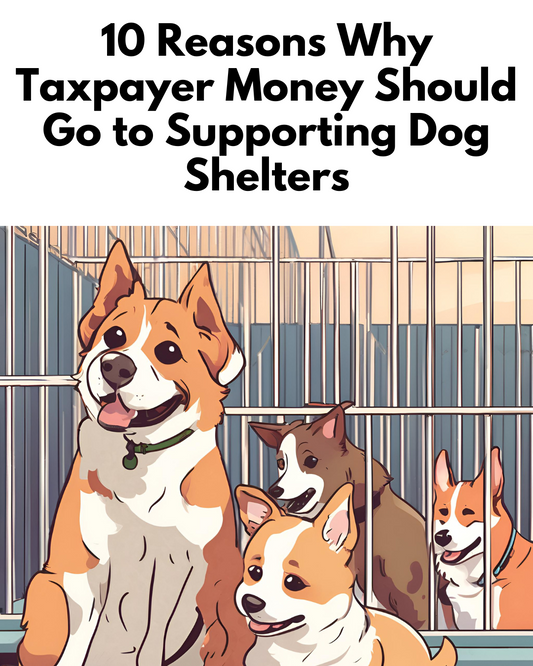 10 Reasons Why Taxpayer Money Should Go to Supporting Dog Shelters