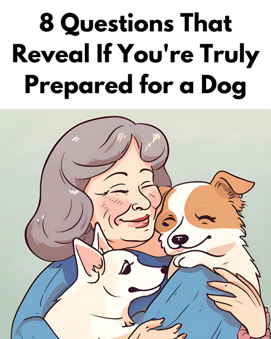 8 Questions That Reveal If You're Truly Prepared for a Dog