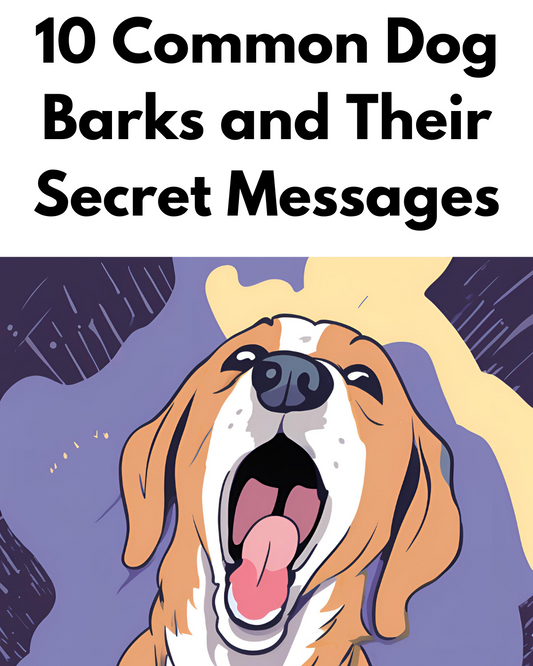 10 Common Dog Barks and Their Secret Messages