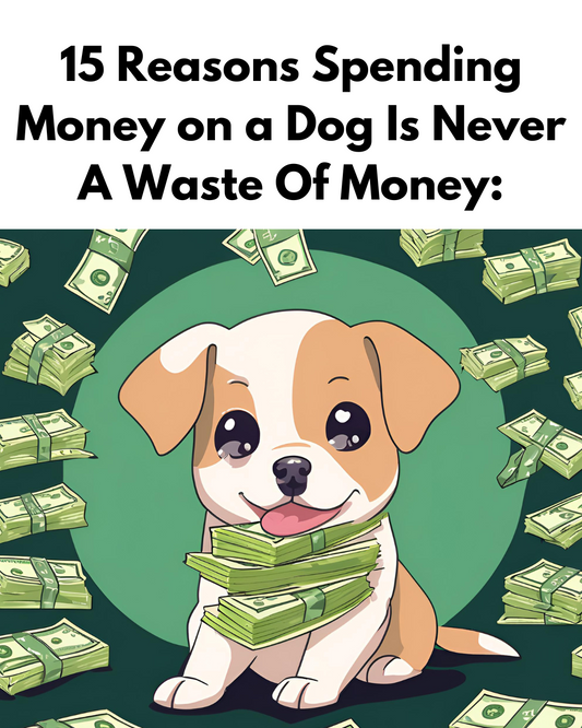 15 Reasons Spending Money on a Dog Is Never A Waste Of Money: