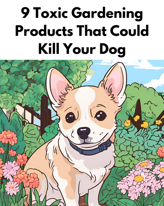 9 Toxic Gardening Products That Could Kill Your Dog