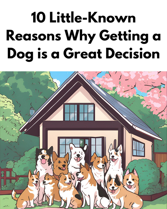 10 Little-Known Reasons Why Getting a Dog is a Great Decision