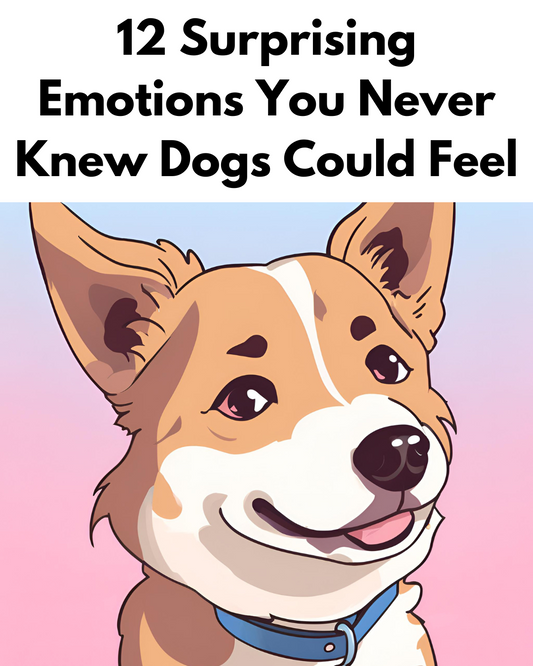 12 Surprising Emotions You Never Knew Dogs Could Feel