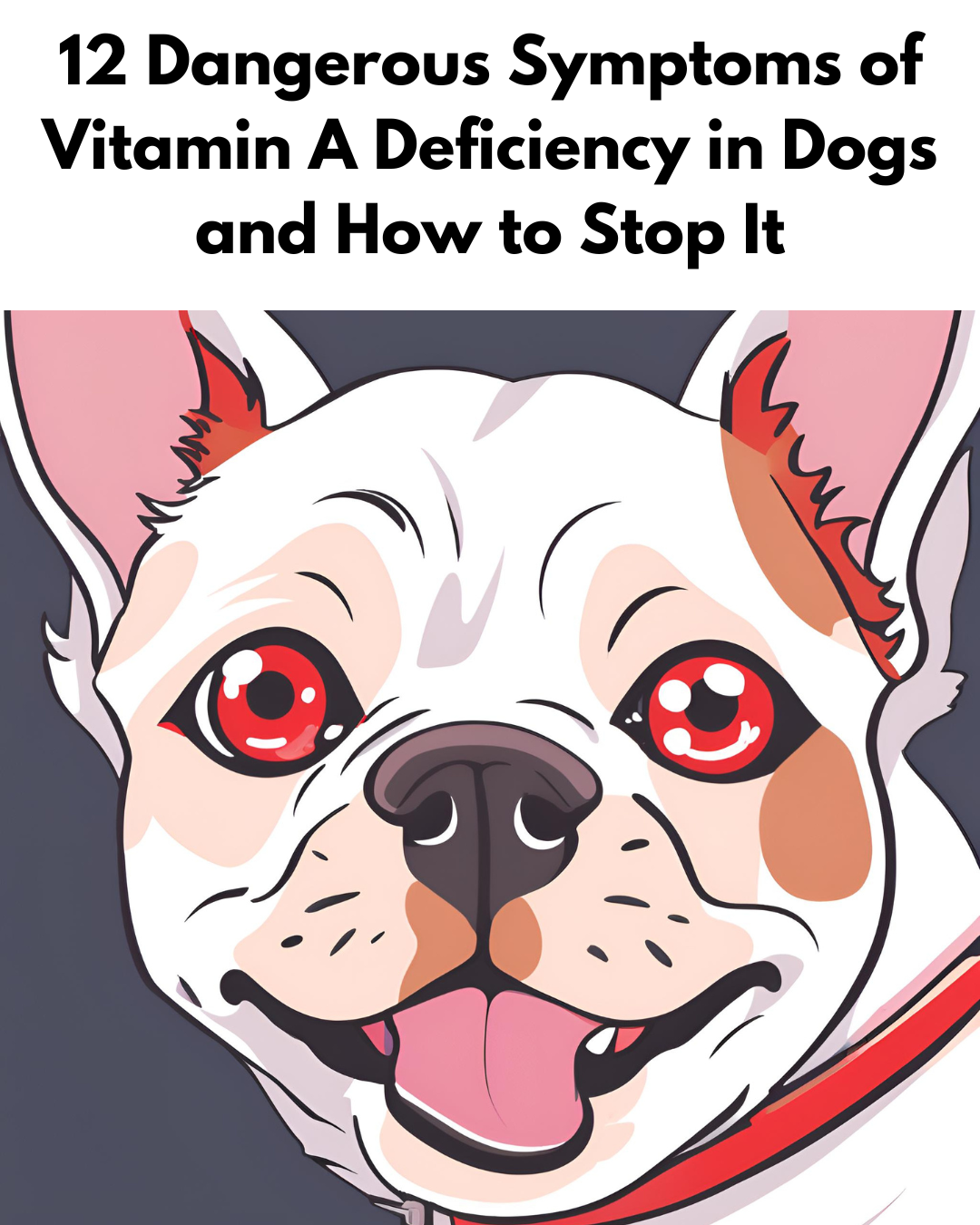 12 Dangerous Symptoms of Vitamin A Deficiency in Dogs and How to Stop It