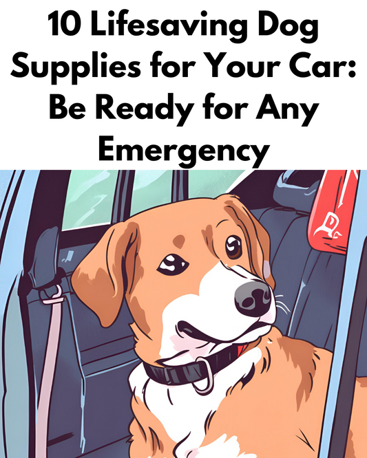 10 Lifesaving Dog Supplies for Your Car: Be Ready for Any Emergency