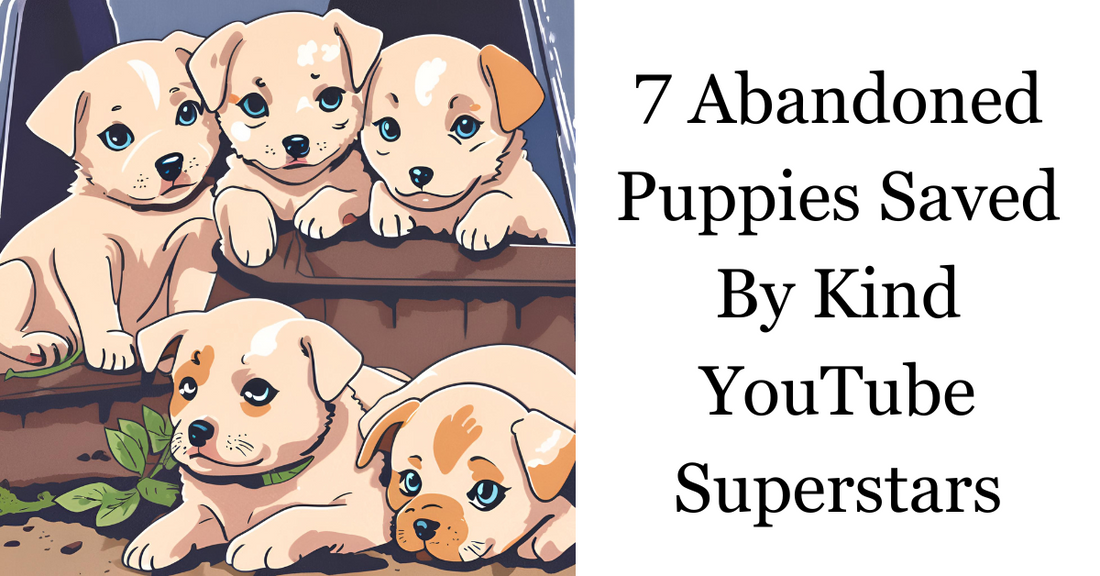 7 Abandoned Puppies Saved By Kind YouTube Superstars