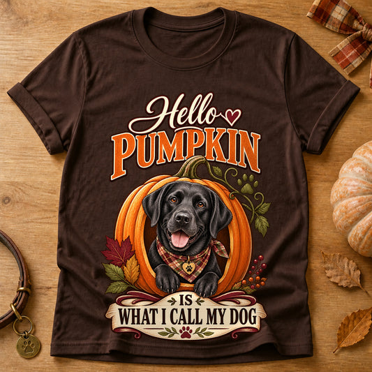 Hello Pumpkin Dog T-shirt - Dark Chocolate - Brooke & Belle