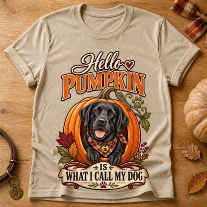 Hello Pumpkin Dog T-shirt - Sand - Brooke & Belle