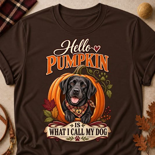 Hello Pumpkin Dog Colored Print T-Shirt - Dark Chocolate - Brooke & Belle