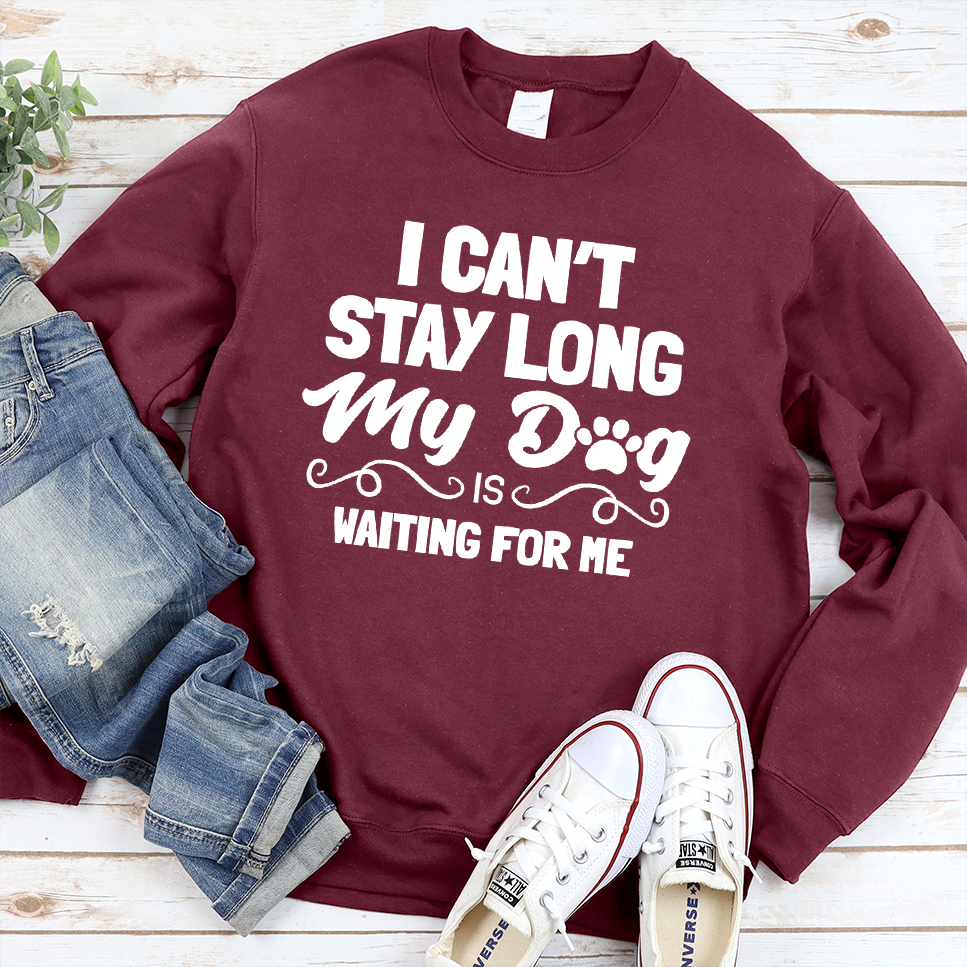 I Can’t Stay Long My Dog Is Waiting For Me Sweatshirt